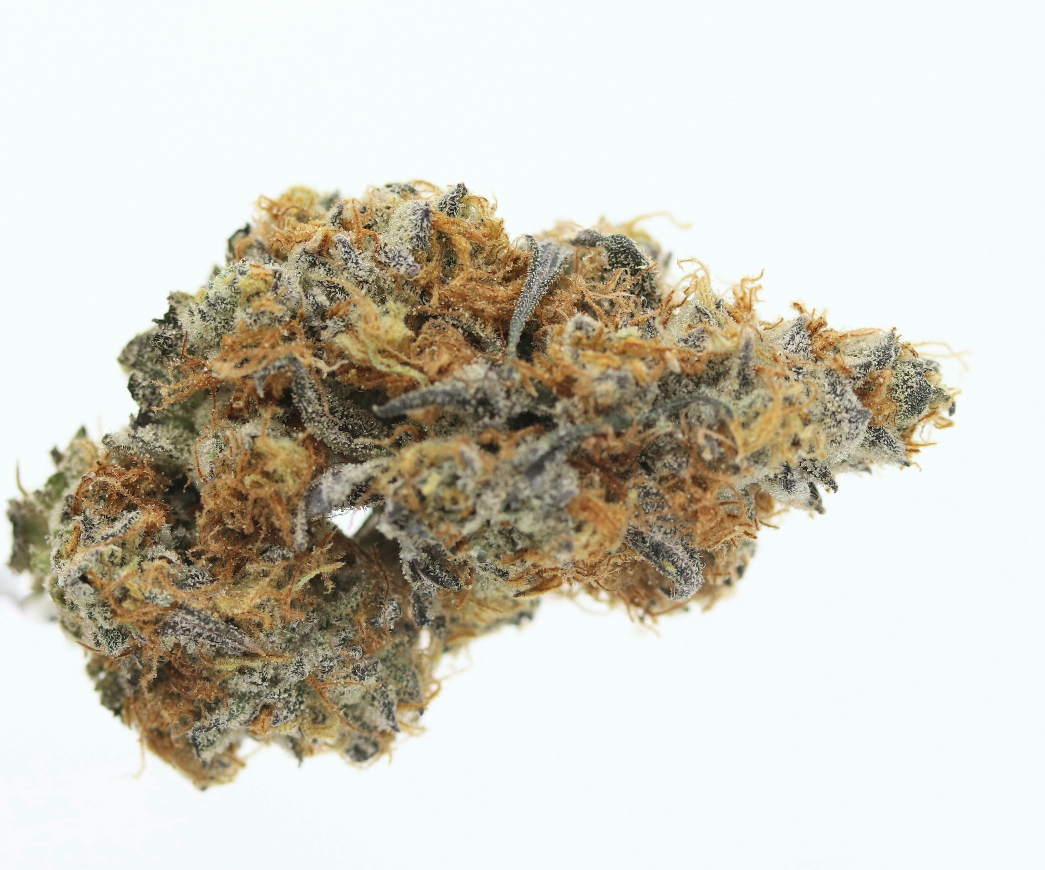 Elevation 207 - Garlic Breath - 1