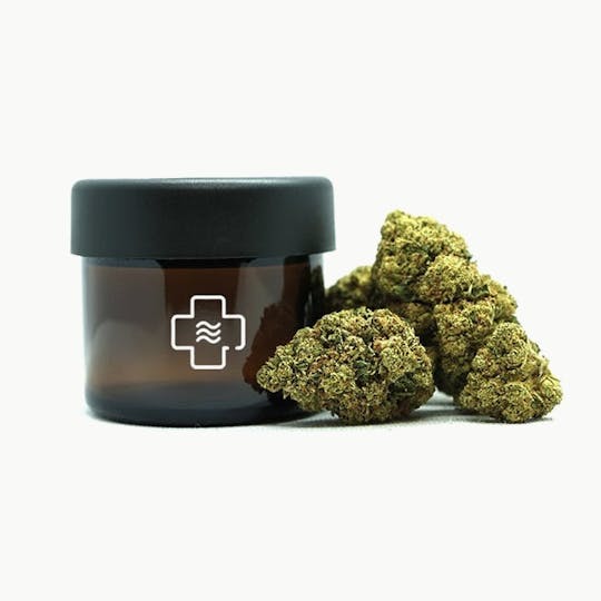 High Tide Organics - Lion OG - 1