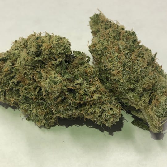 Iron Lung (Medical) - Orange Wifi - 1