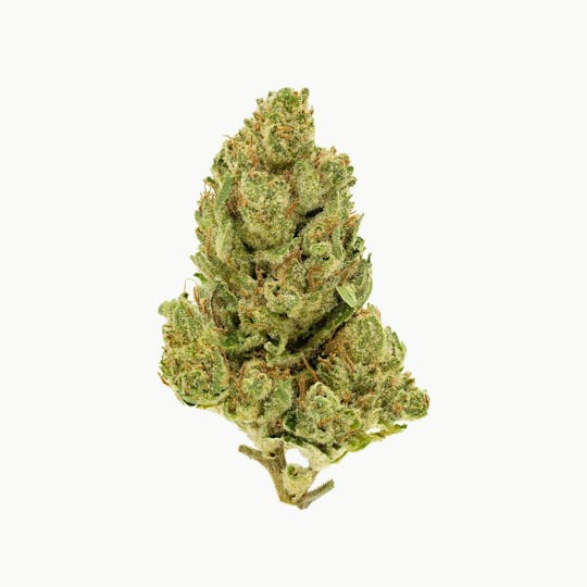 Flow Kana - Bruce Banner #3 by Eden Farms | Gold - 1