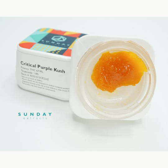Sunday Extracts - 1g Concentrate Cured Resin - Critical Purple Kush - 1