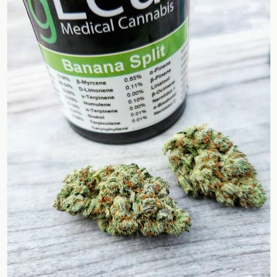 gLeaf - BANANA SPLIT - 1