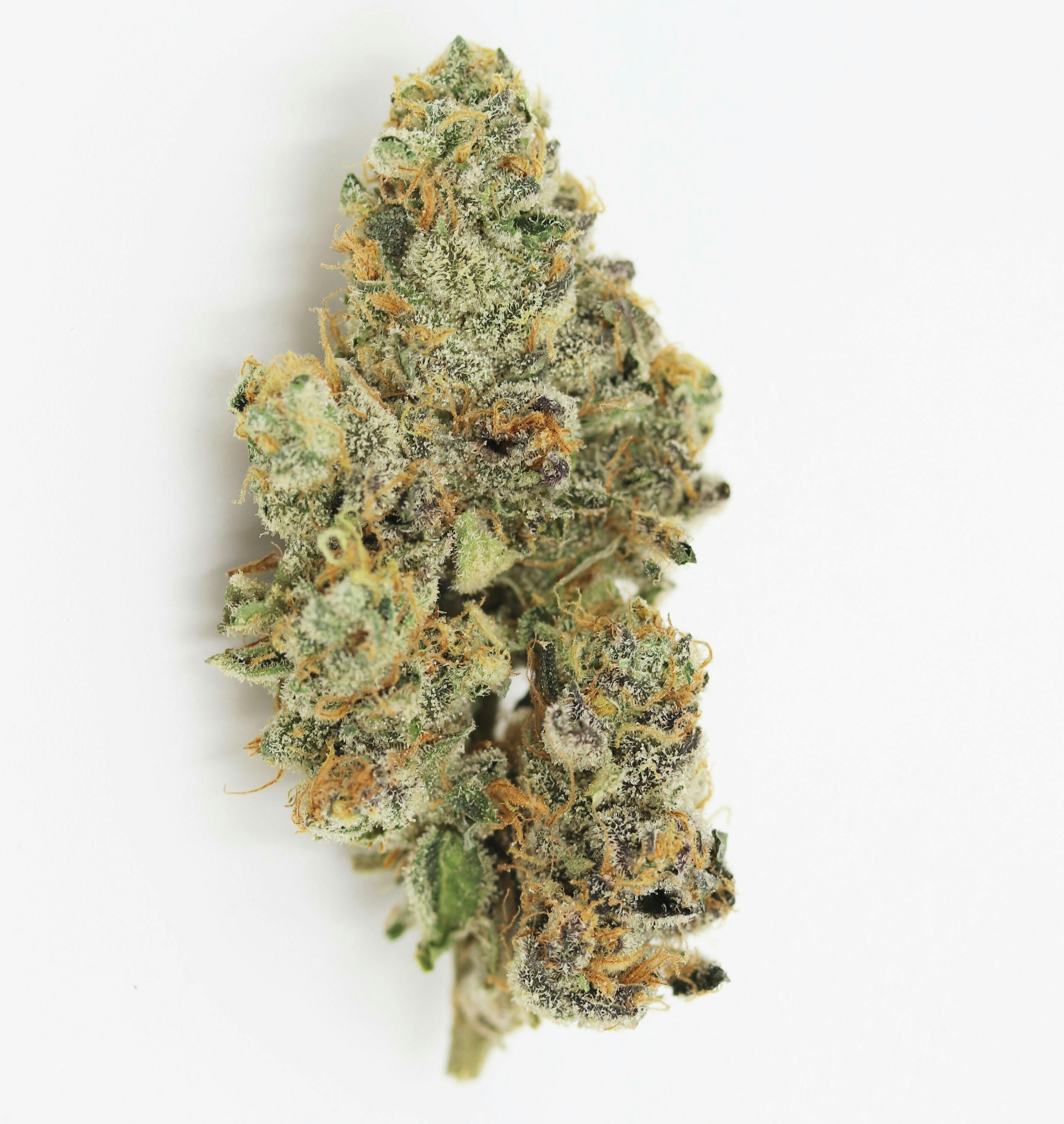 Elevation 207 - Purple Zkittlez - 1