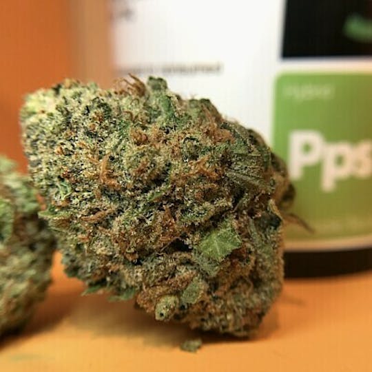 gLeaf - PINEAPPLE SKUNK - 1