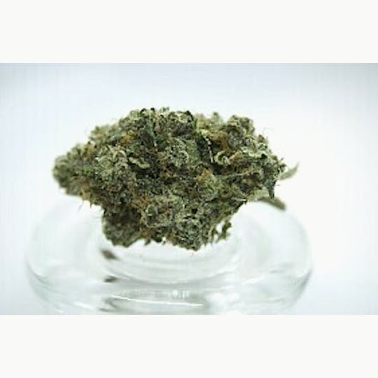 gLeaf - BLUEBERRY X SUNSET SHERBERT - 1