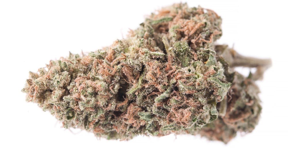 gLeaf - BLACKBERRY PREROLL - 1