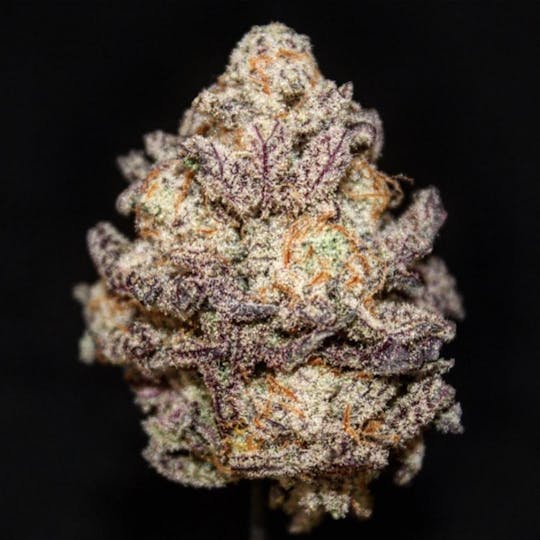Paul's Boutique - Miracle Alien Cookies (MAC) - 1