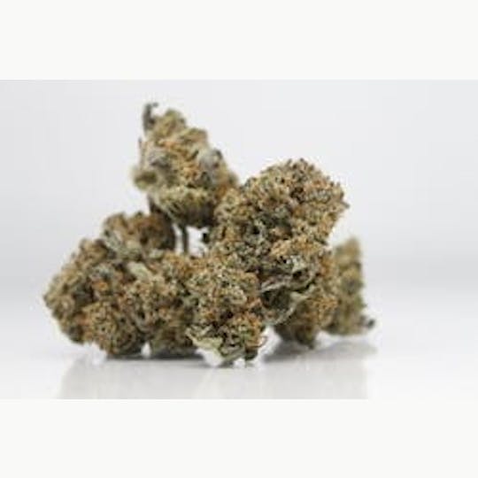 gLeaf - OG KUSH BREATH PREROLL - 1