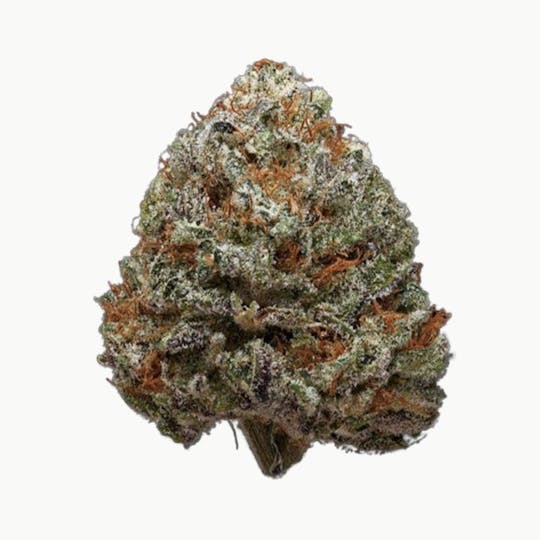 gLeaf - BLUE CHEESE BLACK LABEL SAUCE - 1
