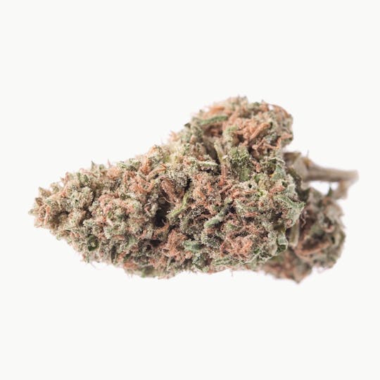 gLeaf - BLACKBERRY BUDDER - 1