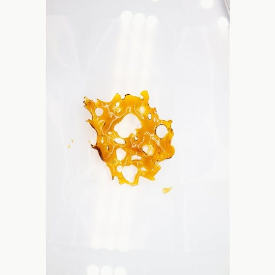 gLeaf - SHARK SHOCK SHATTER - 1