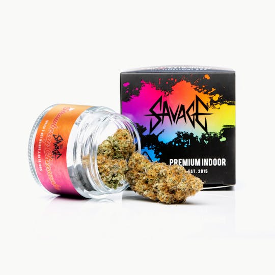 SAVAGE - Strawberry Cheesecake Indoor Flower by SAVAGE - 1