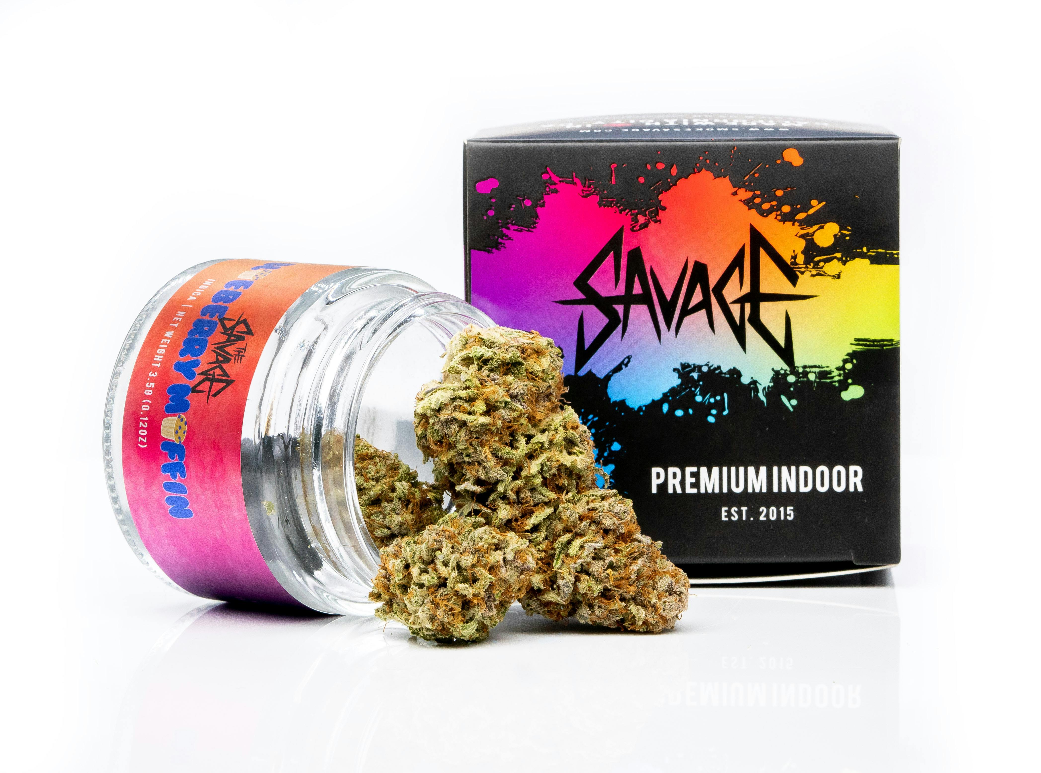 SAVAGE - Blueberry Muffin Indoor Flower by SAVAGE - 1