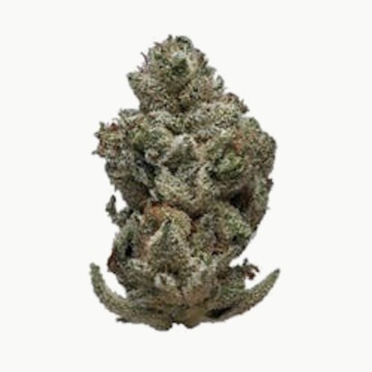 gLeaf - SOUR DIESEL - 1