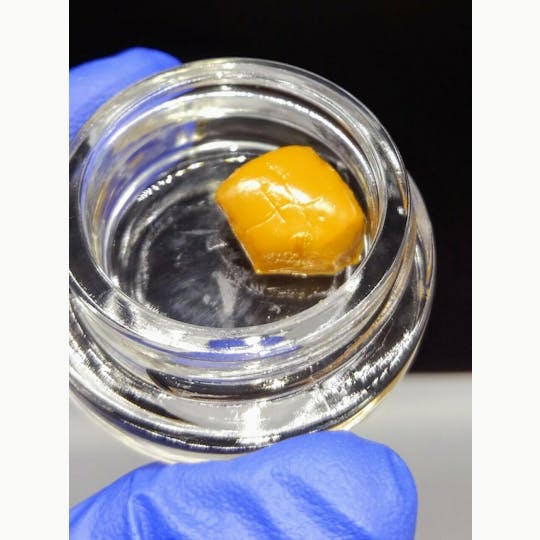 gLeaf - SIR LANDO BUDDER - 1