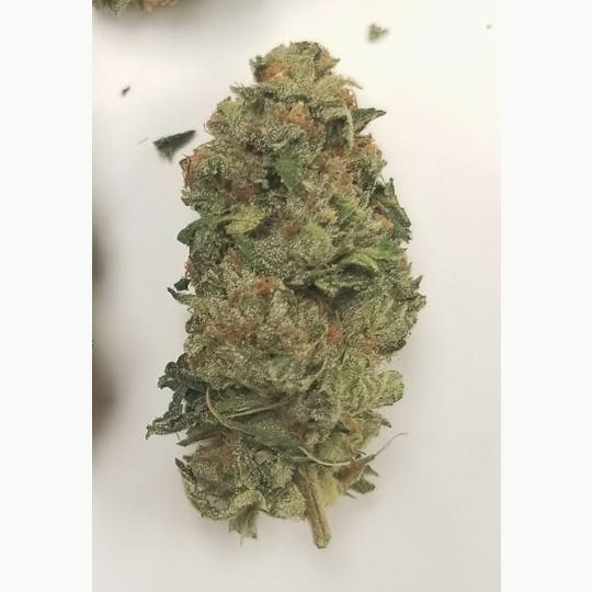 gLeaf - VELVET SMOOTH - 1