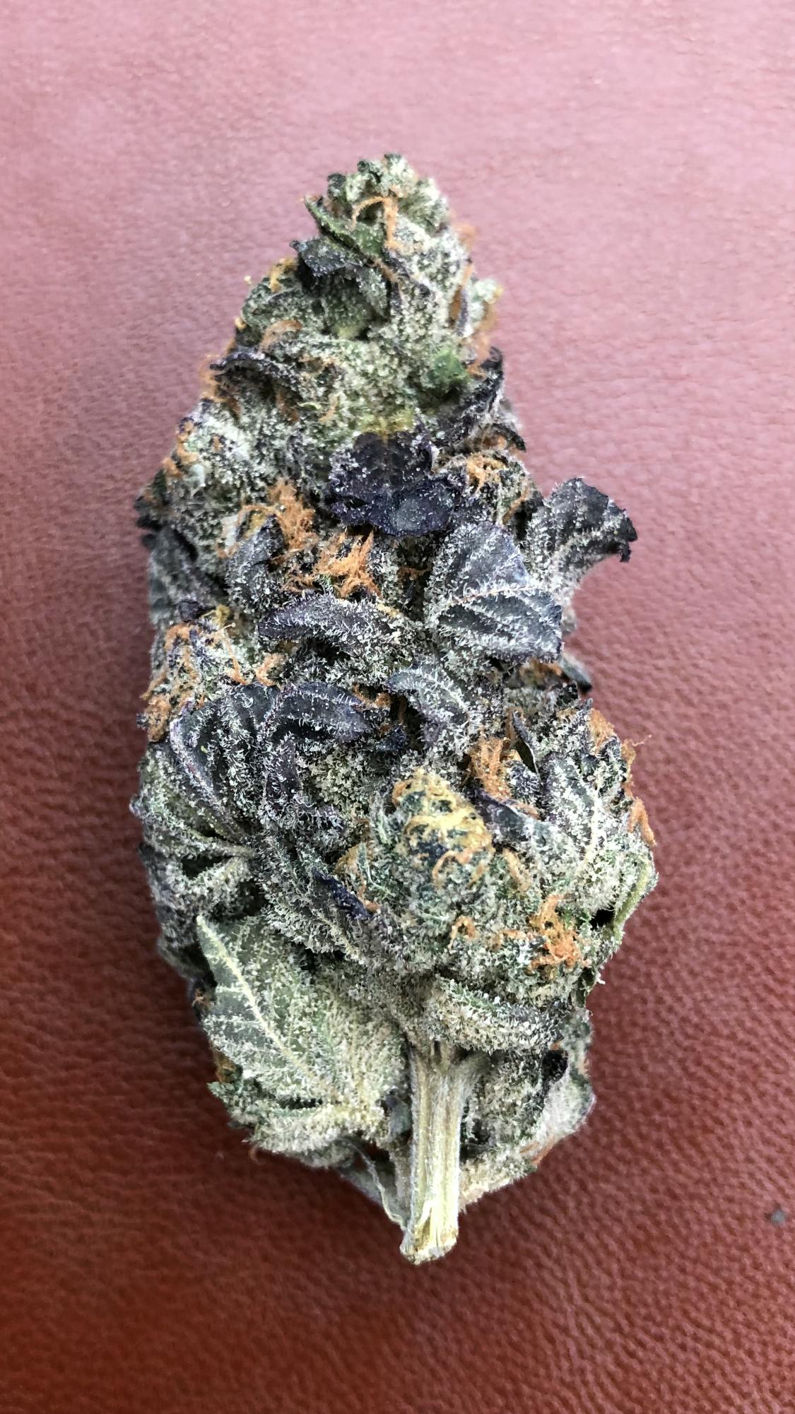 Simply Cannabis 207 - Dosi Punch - 1