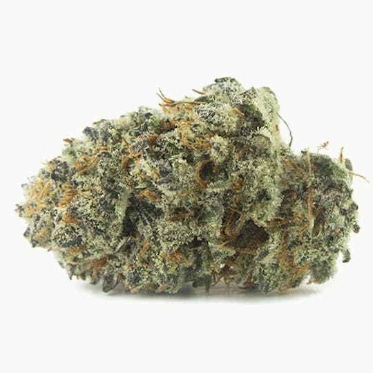 gLeaf - JELLY BREATH - 1