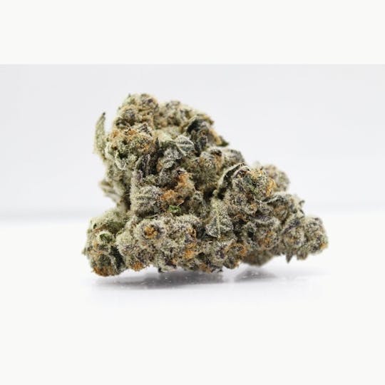 gLeaf - MAI TAI - 1
