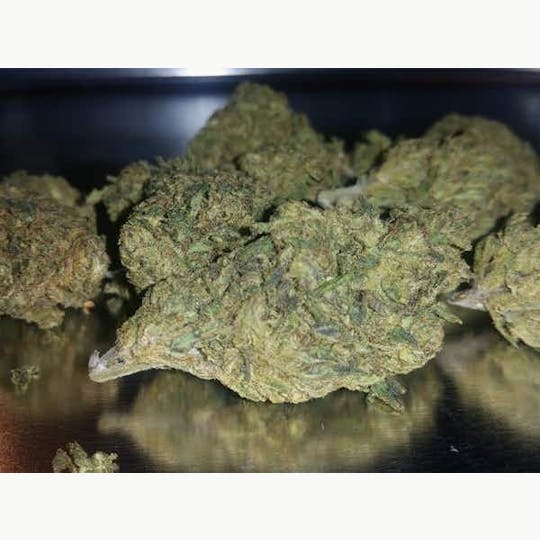 Herbal Outlander - 3.5 gram ACDC CBD Flower - 1