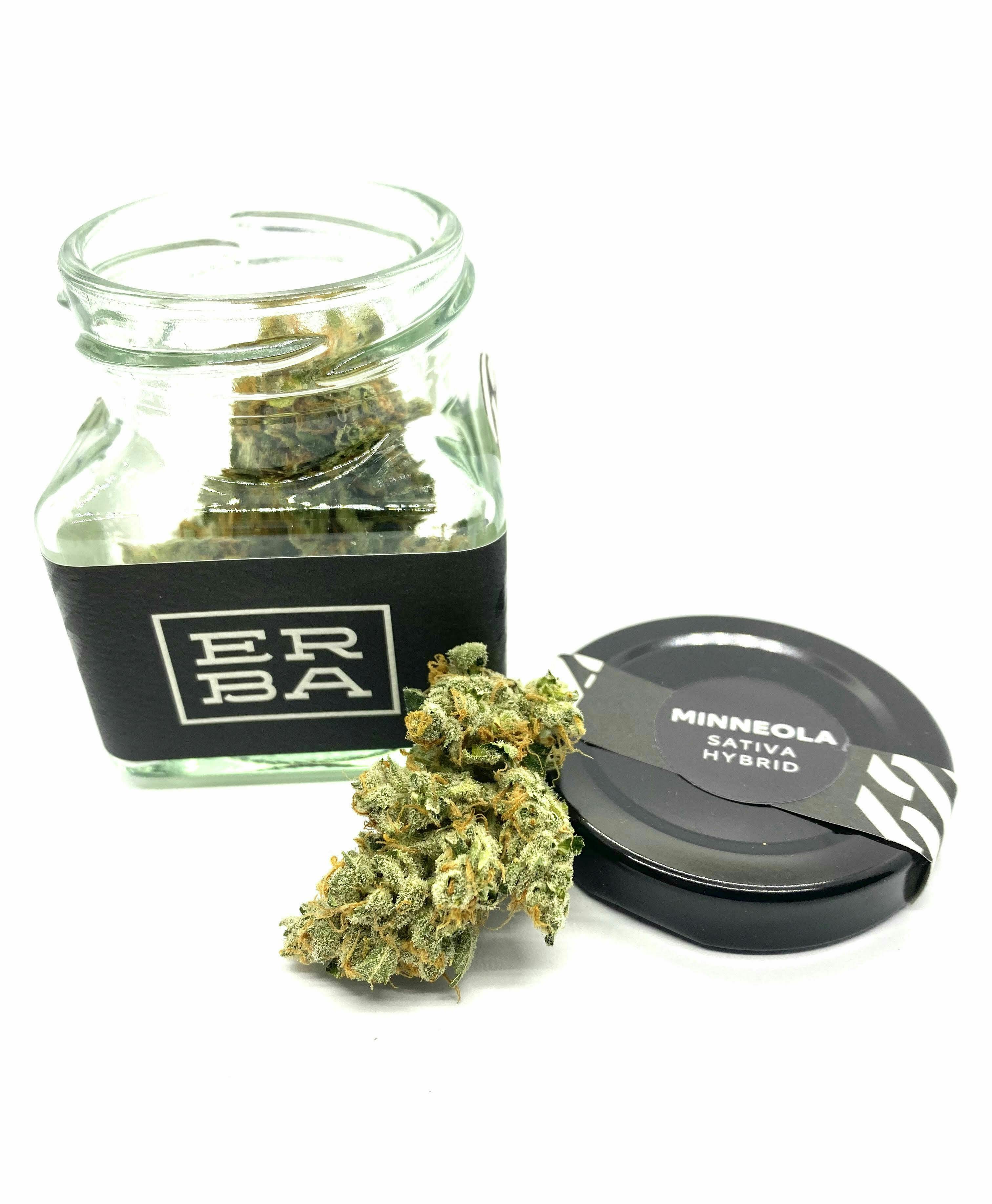 ERBA - ERBA - Minneola - 1