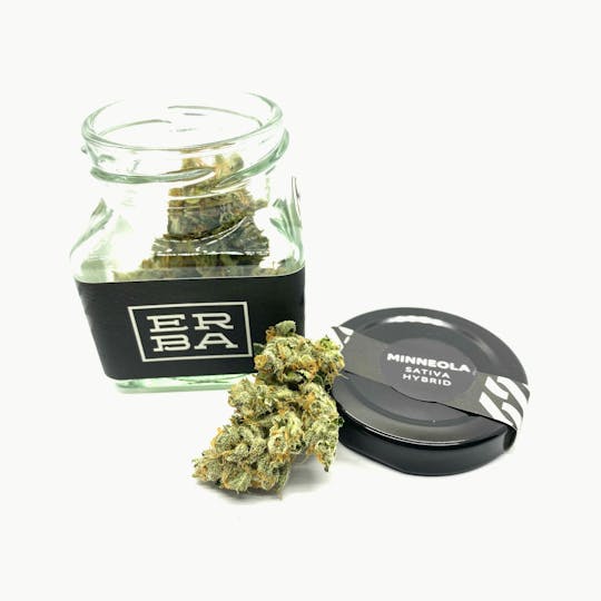 ERBA - ERBA - Minneola - 1