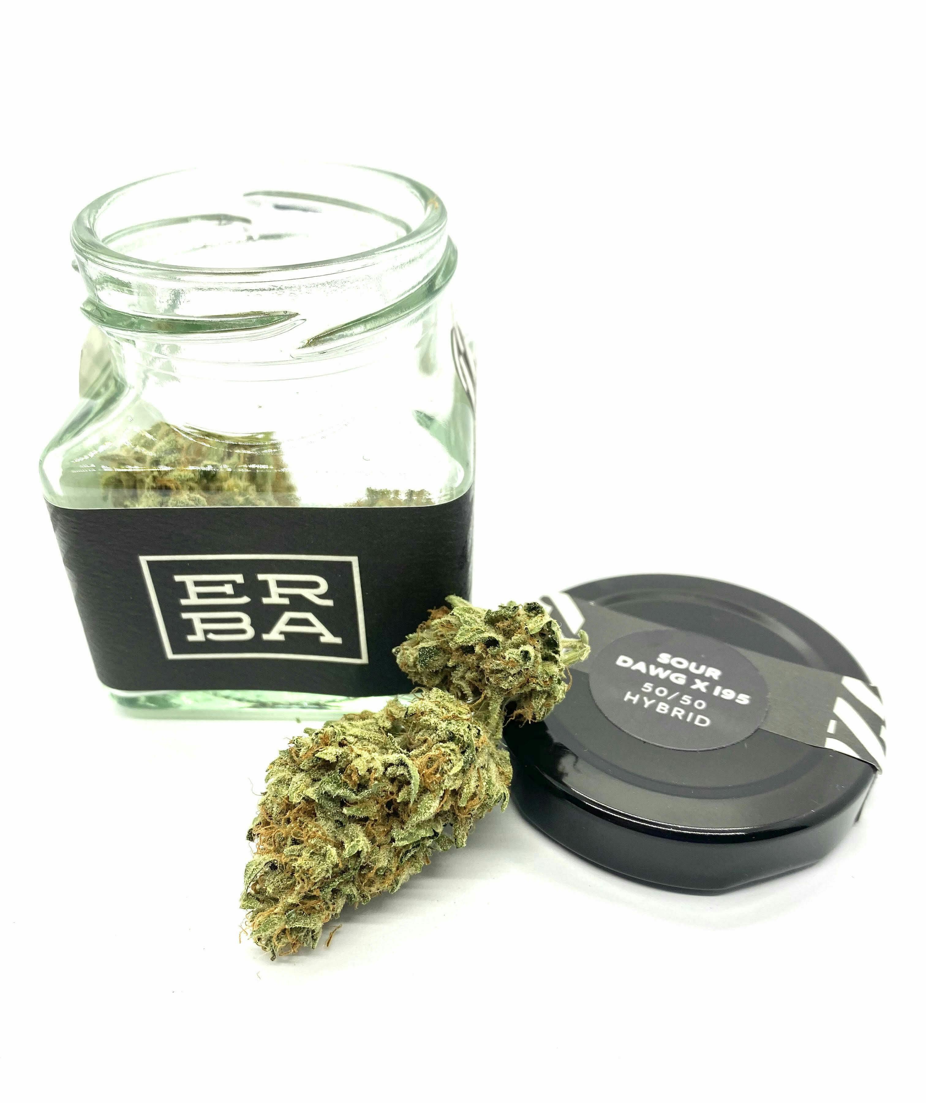 ERBA - ERBA - Sourdawg x I95 - 1