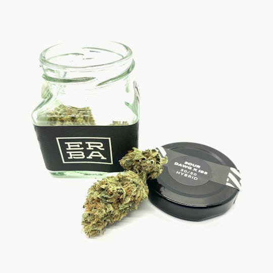 ERBA - ERBA - Sourdawg x I95 - 1