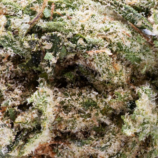 Deli - Super Silver Haze - Ounce - 1