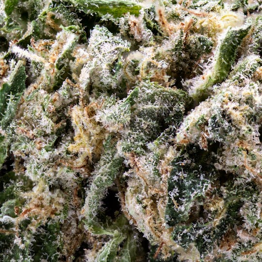 Deli - Hell Fire OG Quarter - 1