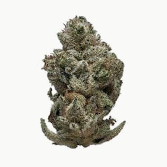 gLeaf - SOUR DIESEL PREROLL - 1
