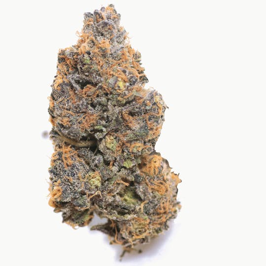 gLeaf - BLACKBERRY - 1