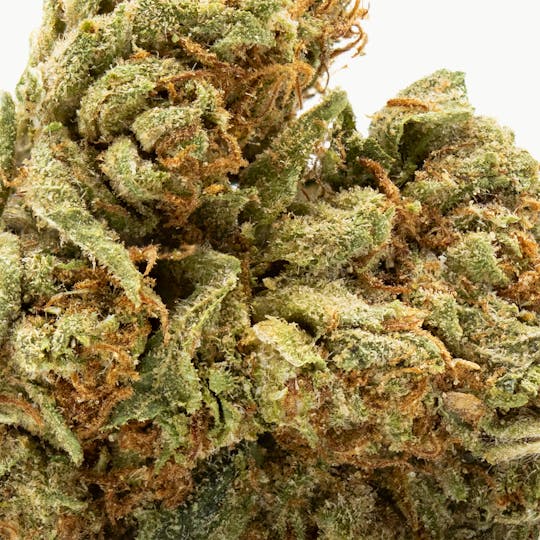 Fun Uncle - Smoke Master OG - 1