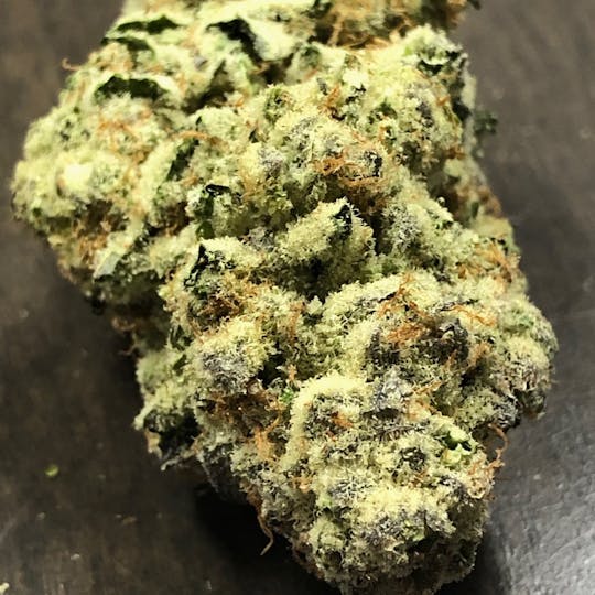 Iron Lung (Medical) - Modified Grapes - 1