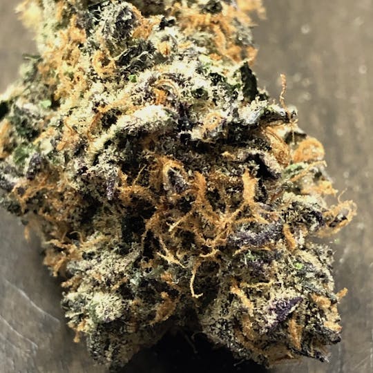 Iron Lung (Medical) - Gelato Mint - 1