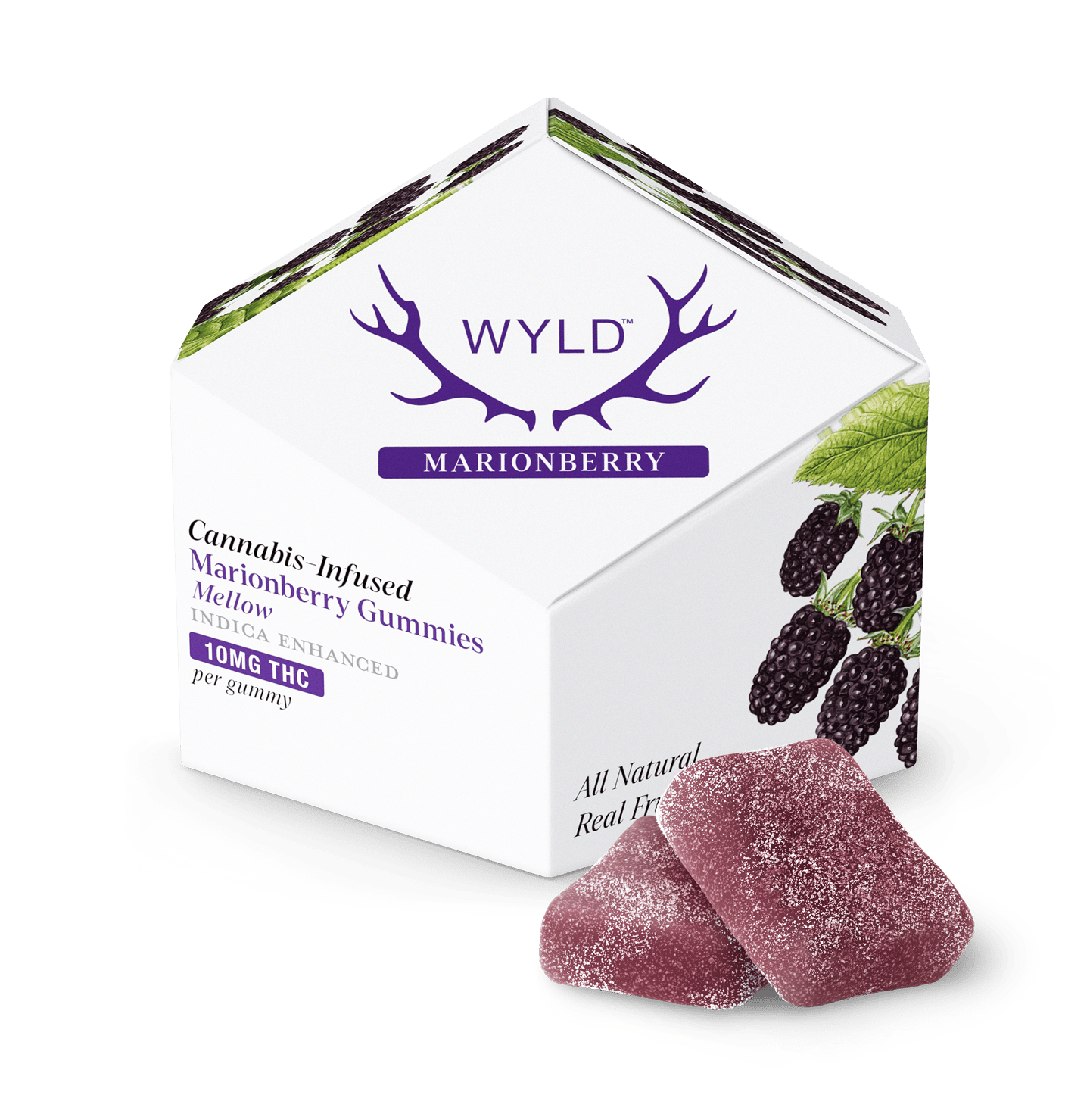 WYLD - WYLD | Marionberry Indica Enhanced Gummies | 100mg | 10ct | 10mg/ea - 1