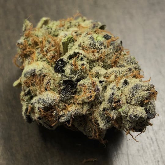Iron Lung (Medical) - Vanilla Gorilla #3 - 1
