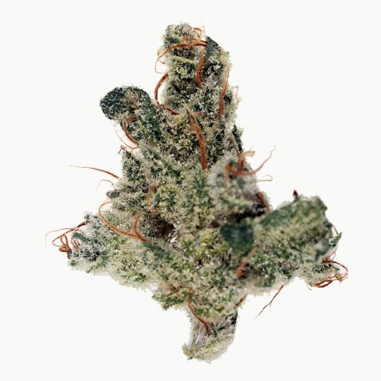 Maui Grown Therapies - Brand - Chocolope - 1