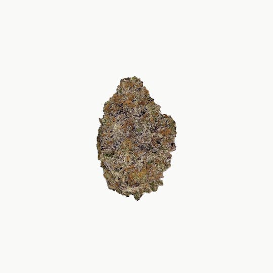 Space Monkey Meds - Sunset Mac - 1