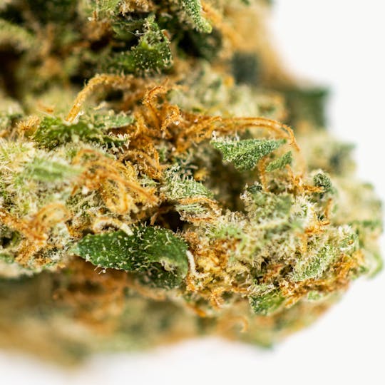 Fun Uncle - 707 Headband - 1