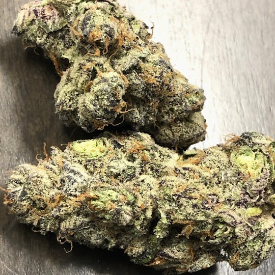 Iron Lung (Medical) - Cookie Punch - 1