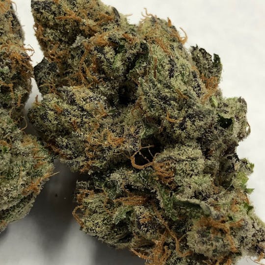Iron Lung (Medical) - Grape Mints - 1