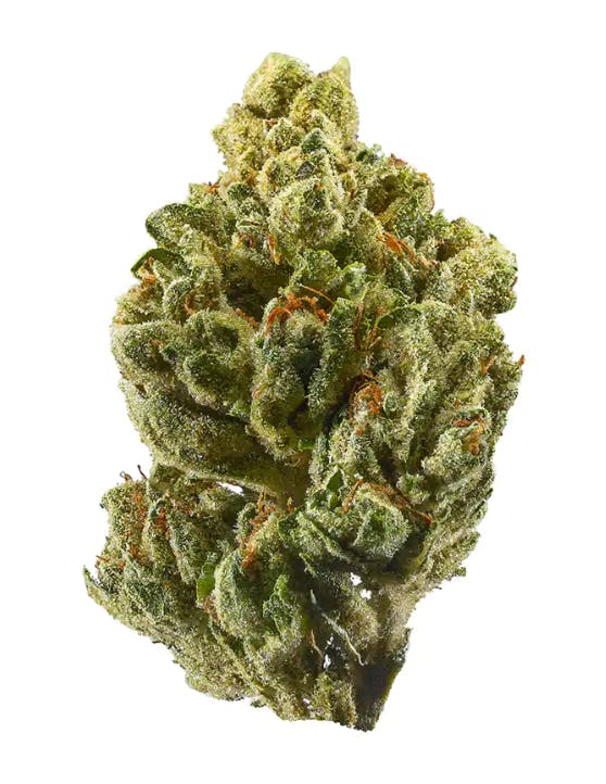 Great American Cannabis Company LLC - Pie Face OG - 1