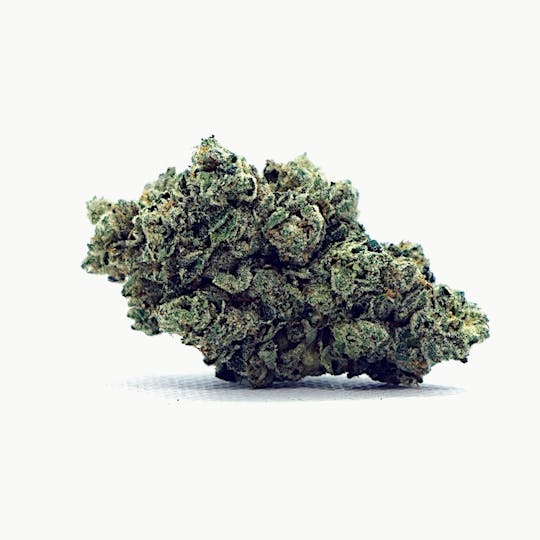 High Tide Organics - Black Mamba - 1
