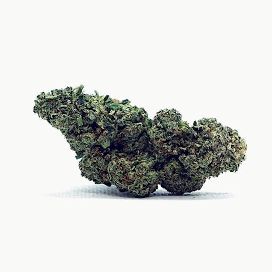 High Tide Organics - Gelato 33 - 1