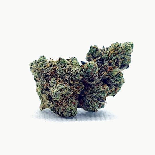 High Tide Organics - Mahalo OG - 1