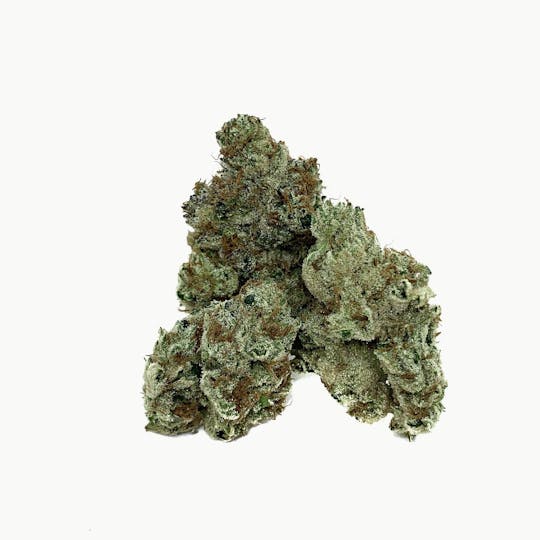 Space Monkey Meds - Dosido - 1