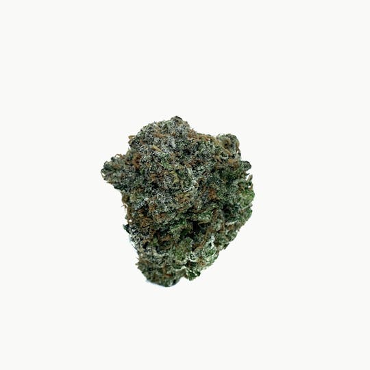 Space Monkey Meds - Grease Monkey - 1