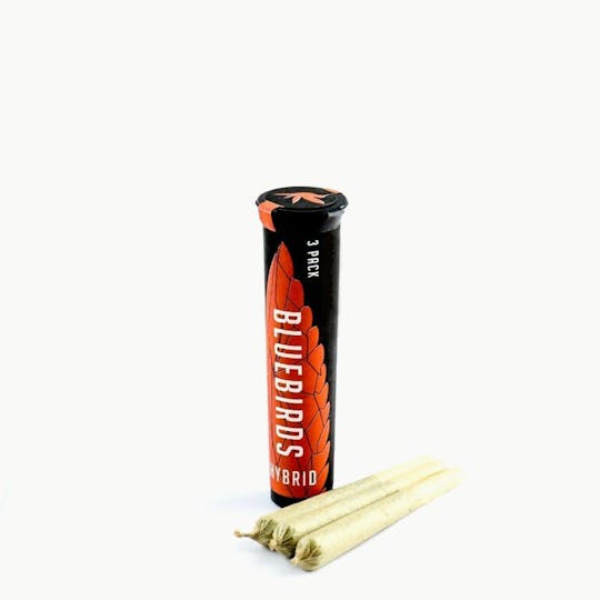 BlueBirds - Cookies N Cream 3pk Preroll - 1