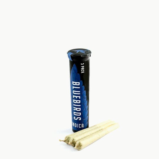BlueBirds - Kosher Tangie 3pk Preroll - 1